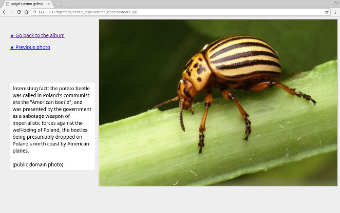 Screenshot of a qdgal photo gallery